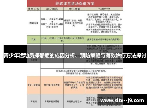 青少年运动员抑郁症的成因分析、预防策略与有效治疗方法探讨